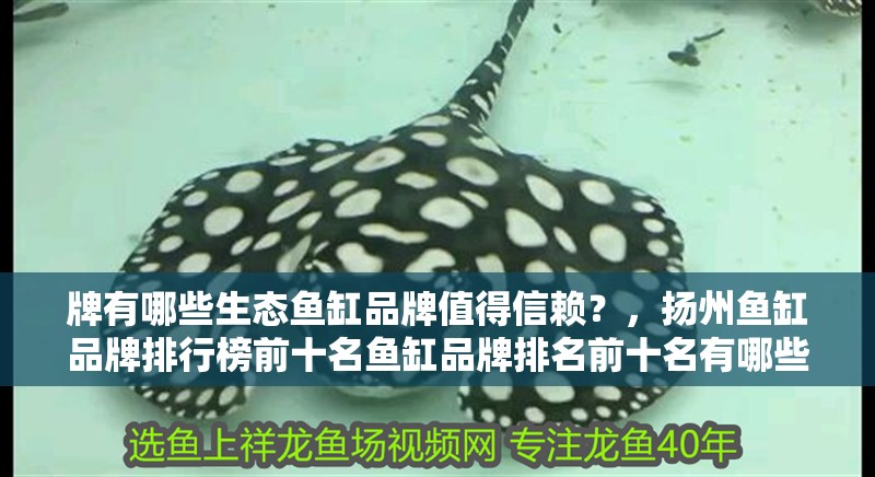 牌有哪些生態魚缸品牌值得信賴？，揚州魚缸品牌排行榜前十名魚缸品牌排名前十名有哪些