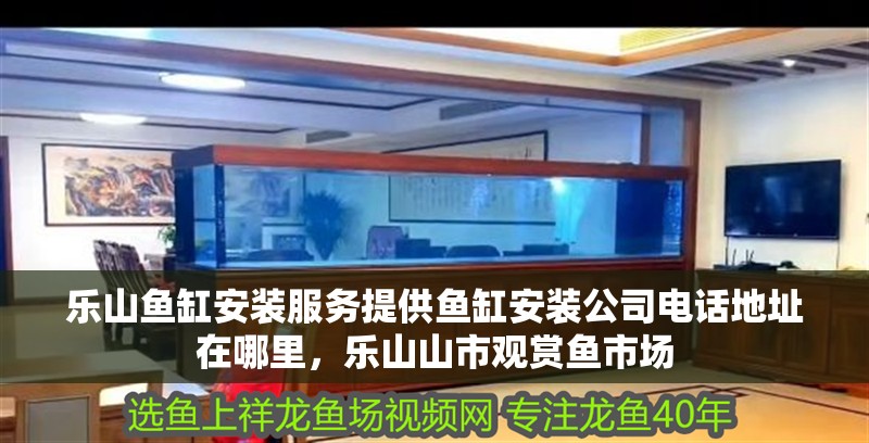 樂(lè)山魚(yú)缸安裝服務(wù)提供魚(yú)缸安裝公司電話(huà)地址在哪里，樂(lè)山山市觀賞魚(yú)市場(chǎng)