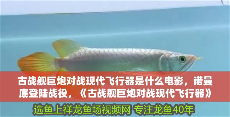 古戰艦巨炮對戰現代飛行器是什么電影，諾曼底登陸戰役，《古戰艦巨炮對戰現代飛行器》 古戰艦巨炮對戰現代飛行器是什么電影，諾曼底登陸戰役，《古戰艦巨炮對戰現代飛行器》 觀賞魚百科