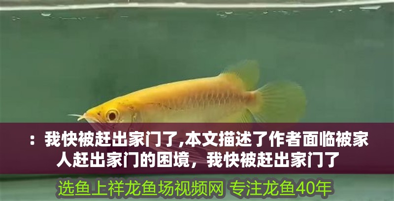 ：我快被趕出家門了,本文描述了作者面臨被家人趕出家門的困境，我快被趕出家門了