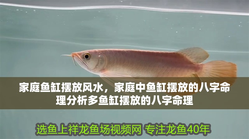 家庭魚缸擺放風(fēng)水，家庭中魚缸擺放的八字命理分析多魚缸擺放的八字命理