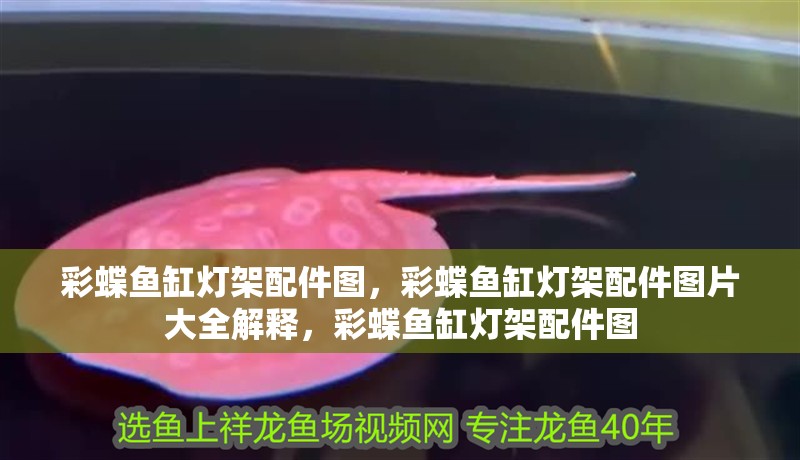 彩蝶魚缸燈架配件圖，彩蝶魚缸燈架配件圖片大全解釋，彩蝶魚缸燈架配件圖