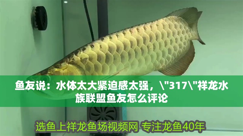 魚友說：水體太大緊迫感太強，\