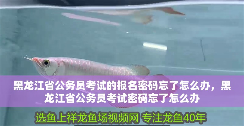 黑龍江省公務(wù)員考試的報(bào)名密碼忘了怎么辦，黑龍江省公務(wù)員考試密碼忘了怎么辦