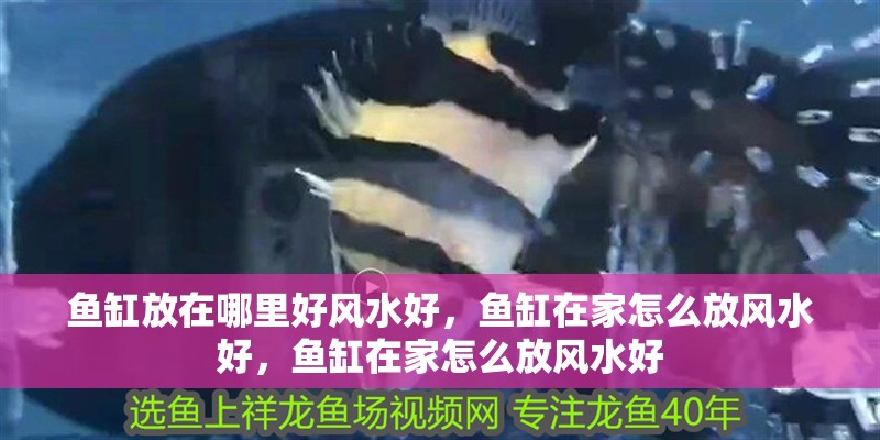 魚缸放在哪里好風水好，魚缸在家怎么放風水好，魚缸在家怎么放風水好