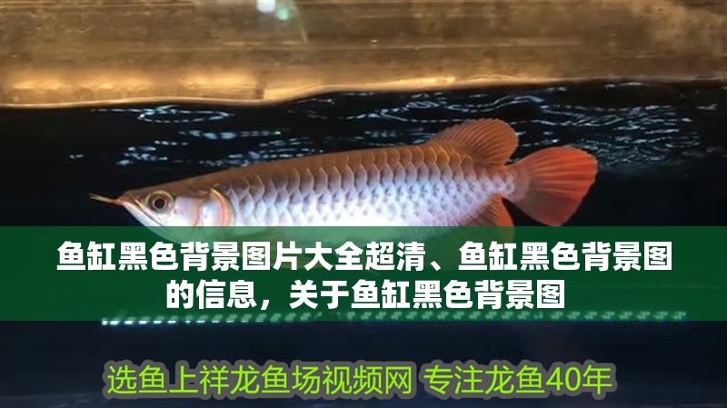魚缸黑色背景圖片大全超清、魚缸黑色背景圖的信息，關(guān)于魚缸黑色背景圖