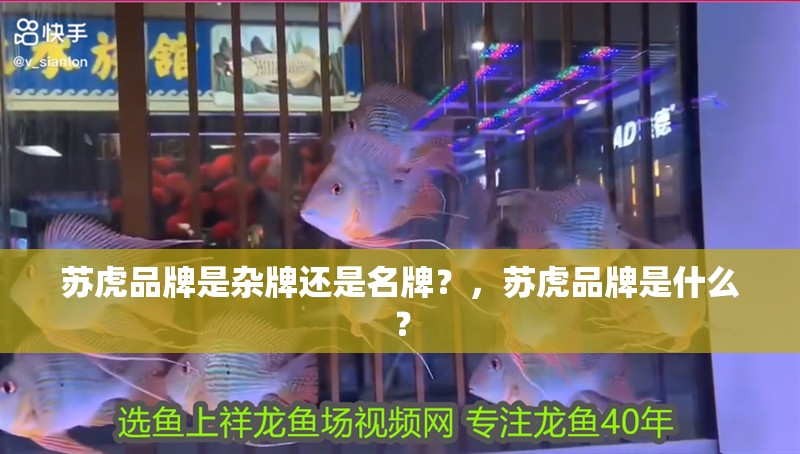 蘇虎品牌是雜牌還是名牌？，蘇虎品牌是什么？ 蘇虎品牌是雜牌還是名牌？，蘇虎品牌是什么？ 觀賞魚百科 第12張