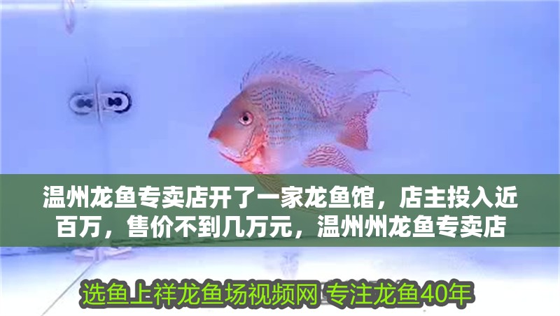 溫州龍魚專賣店開了一家龍魚館，店主投入近百萬，售價不到幾萬元，溫州州龍魚專賣店