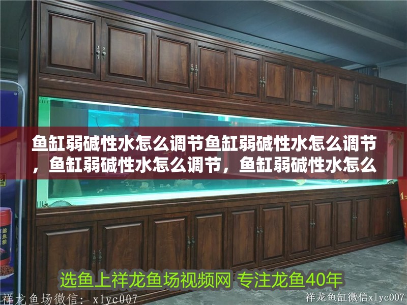 魚缸弱堿性水怎么調節魚缸弱堿性水怎么調節，魚缸弱堿性水怎么調節，魚缸弱堿性水怎么調節