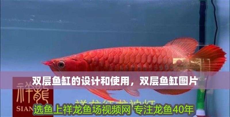 雙層魚缸的設計和使用，雙層魚缸圖片