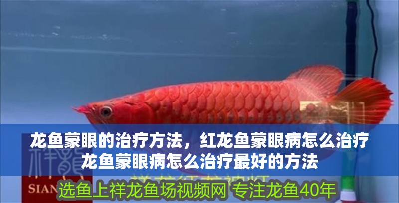 龍魚蒙眼的治療方法，紅龍魚蒙眼病怎么治療龍魚蒙眼病怎么治療最好的方法
