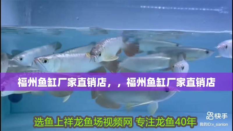福州魚缸廠家直銷店，，福州魚缸廠家直銷店