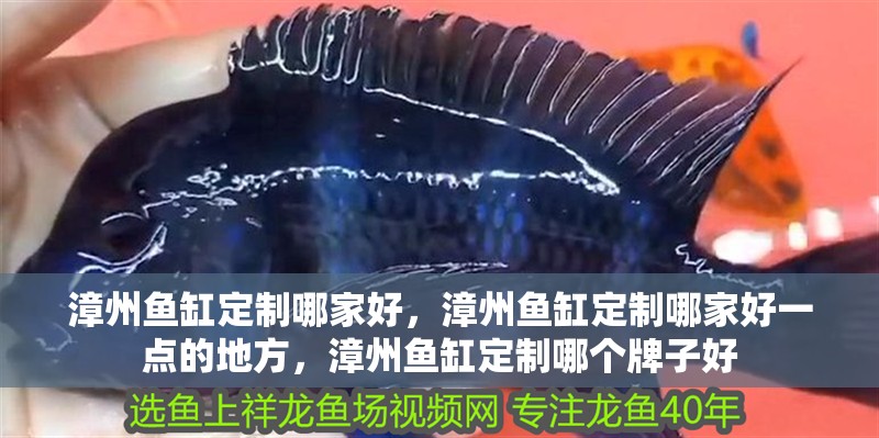 漳州魚缸定制哪家好，漳州魚缸定制哪家好一點(diǎn)的地方，漳州魚缸定制哪個(gè)牌子好 漳州魚缸定制哪家好，漳州魚缸定制哪家好一點(diǎn)的地方，漳州魚缸定制哪個(gè)牌子好 觀賞魚百科 第2張
