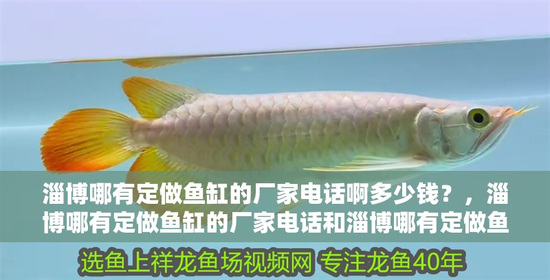 淄博哪有定做魚缸的廠家電話啊多少錢？，淄博哪有定做魚缸的廠家電話和淄博哪有定做魚缸的廠家電話