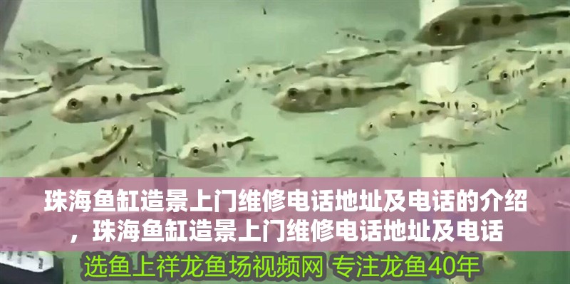 珠海魚缸造景上門維修電話地址及電話的介紹，珠海魚缸造景上門維修電話地址及電話
