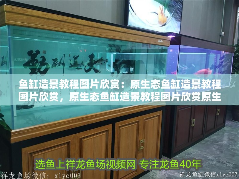 魚缸造景教程圖片欣賞：原生態(tài)魚缸造景教程圖片欣賞，原生態(tài)魚缸造景教程圖片欣賞原生態(tài)魚缸造景教程圖片欣賞