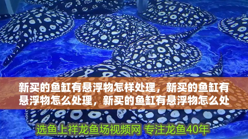 新買的魚缸有懸浮物怎樣處理，新買的魚缸有懸浮物怎么處理，新買的魚缸有懸浮物怎么處理