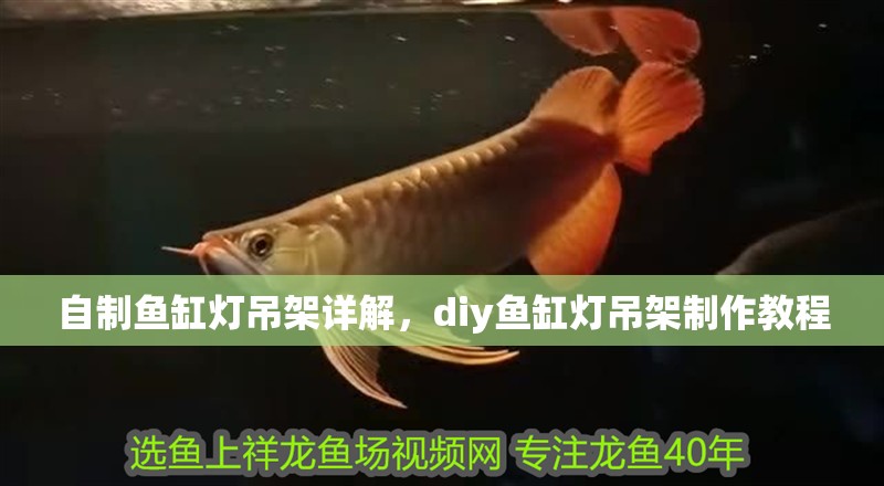 自制魚缸燈吊架詳解，diy魚缸燈吊架制作教程