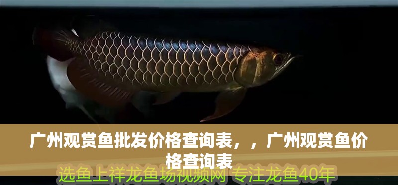廣州觀賞魚(yú)批發(fā)價(jià)格查詢表，，廣州觀賞魚(yú)價(jià)格查詢表