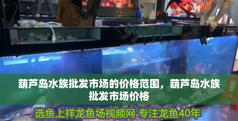 葫蘆島水族批發市場的價格范圍，葫蘆島水族批發市場價格