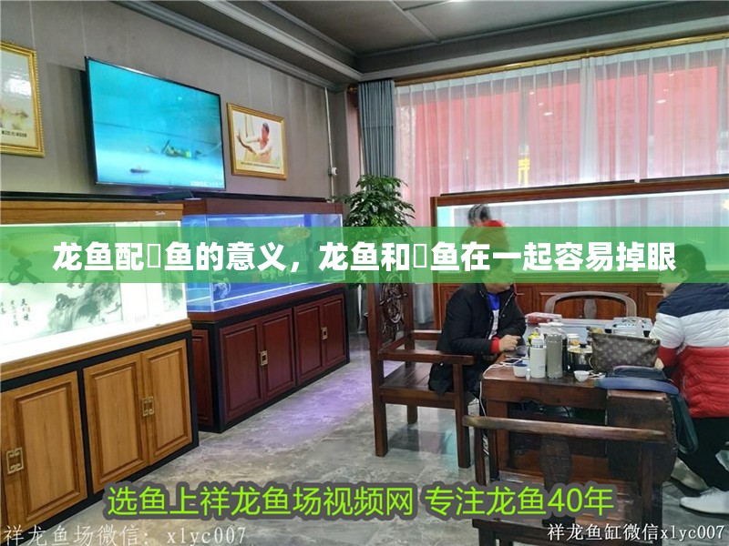 龍魚配魟魚的意義，龍魚和魟魚在一起容易掉眼