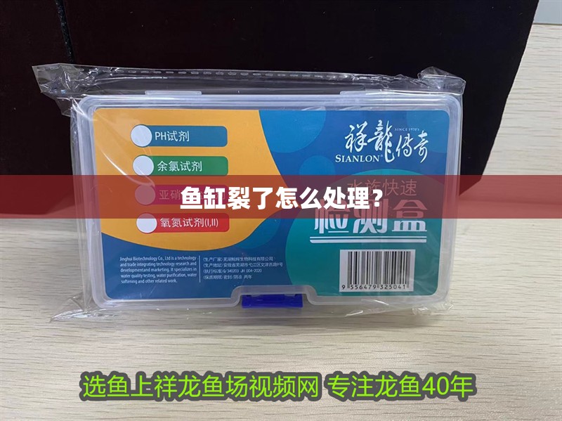 魚缸裂了怎么處理？