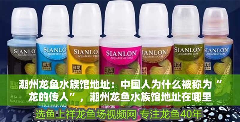 潮州龍魚水族館地址：中國人為什么被稱為“龍的傳人”，潮州龍魚水族館地址在哪里