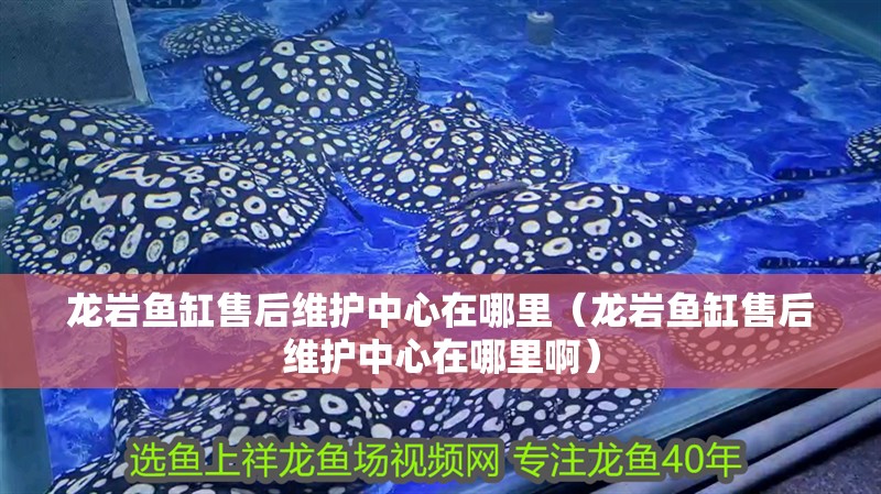龍巖魚缸售后維護中心在哪里（龍巖魚缸售后維護中心在哪里啊）