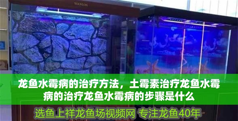 龍魚水霉病的治療方法，土霉素治療龍魚水霉病的治療龍魚水霉病的步驟是什么