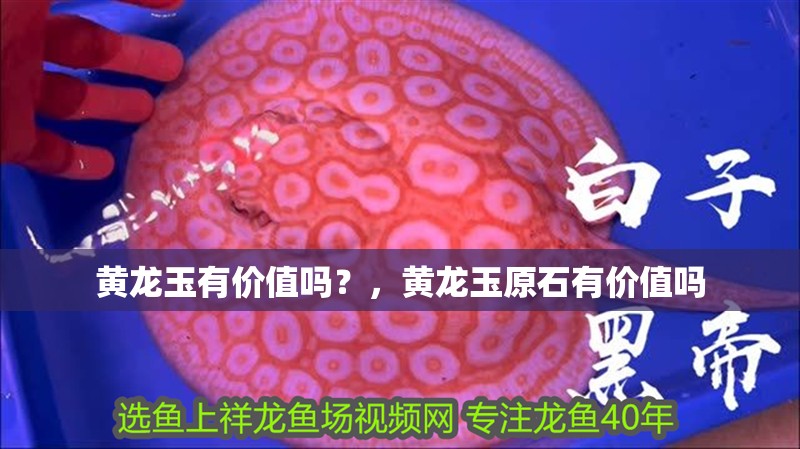 黃龍玉有價值嗎？，黃龍玉原石有價值嗎