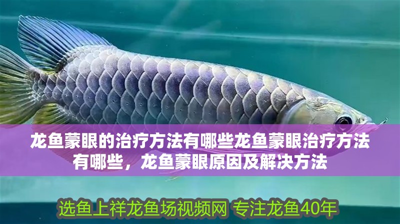 龍魚蒙眼的治療方法有哪些龍魚蒙眼治療方法有哪些，龍魚蒙眼原因及解決方法