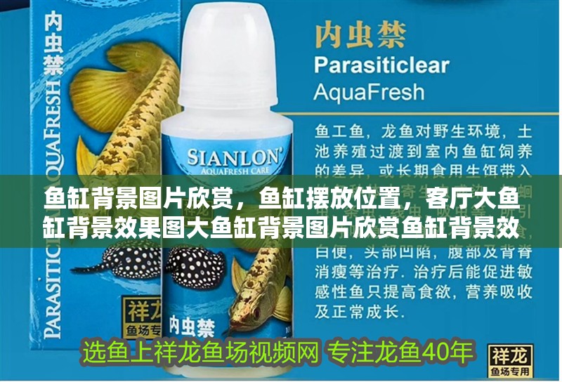 魚缸背景圖片欣賞，魚缸擺放位置，客廳大魚缸背景效果圖大魚缸背景圖片欣賞魚缸背景效果圖