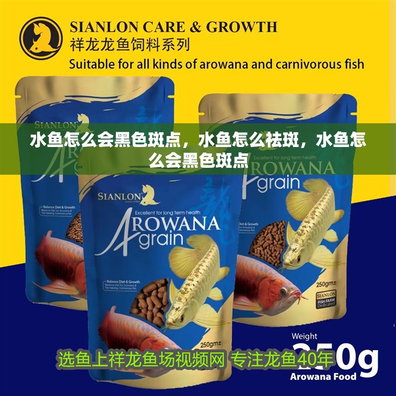 水魚怎么會黑色斑點，水魚怎么祛斑，水魚怎么會黑色斑點