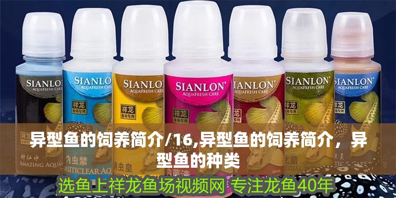 異型魚的飼養簡介/16,異型魚的飼養簡介，異型魚的種類