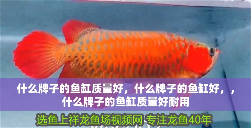 什么牌子的魚缸質量好，什么牌子的魚缸好，，什么牌子的魚缸質量好耐用