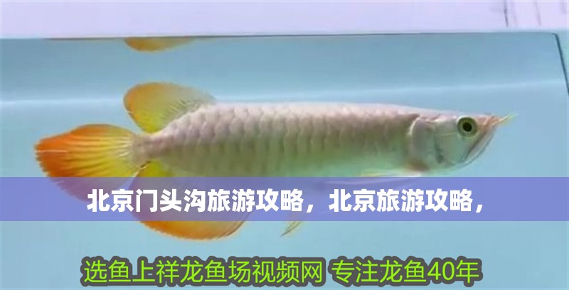 北京門頭溝旅游攻略，北京旅游攻略，