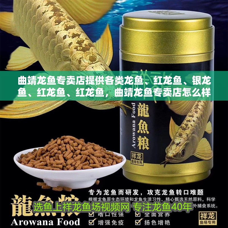 曲靖龍魚專賣店提供各類龍魚、紅龍魚、銀龍魚、紅龍魚、紅龍魚，曲靖龍魚專賣店怎么樣