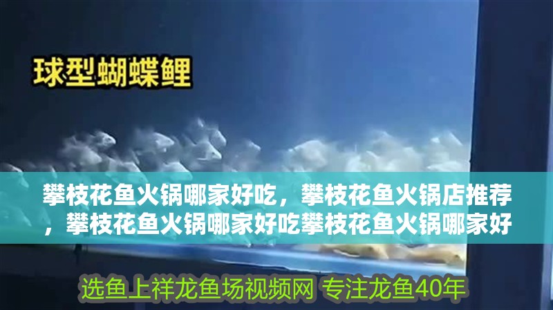 攀枝花魚火鍋哪家好吃，攀枝花魚火鍋店推薦，攀枝花魚火鍋哪家好吃攀枝花魚火鍋哪家好