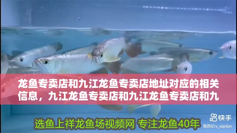 龍魚專賣店和九江龍魚專賣店地址對應的相關信息，九江龍魚專賣店和九江龍魚專賣店和九江龍魚專賣店地址介紹