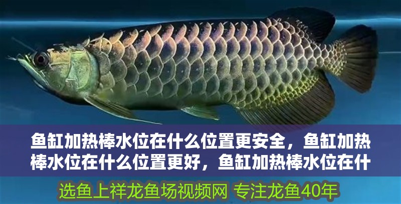 魚缸加熱棒水位在什么位置更安全，魚缸加熱棒水位在什么位置更好，魚缸加熱棒水位在什么位置更安全