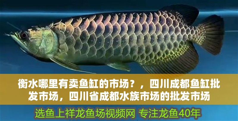 <strong><mark>衡水</mark></strong>哪里有賣魚缸的市場？，四川成都魚缸批發市場，四川省成都水族市場的批發市場