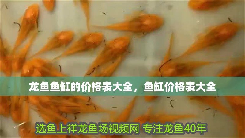 龍魚魚缸的價格表大全，魚缸價格表大全