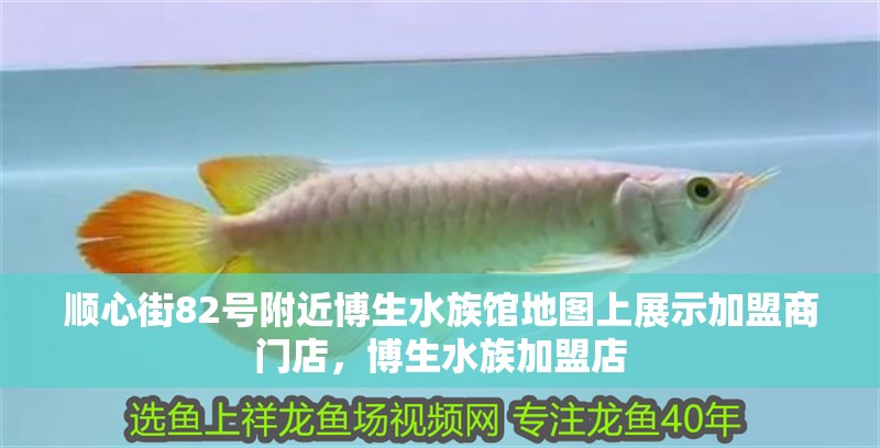 順心街82號(hào)附近博生水族館地圖上展示加盟商門店，博生水族加盟店
