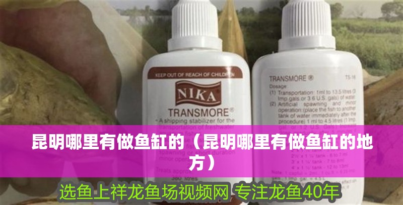 鸚鵡魚和銀龍魚混養怎樣喂食 昆明哪里有做魚缸的(昆明哪里有做魚缸的地方) 觀賞魚百科 昆明哪里有做魚缸的(昆明哪里有做魚缸的地方) 昆明哪里有做魚缸的(昆明哪里有做魚缸的地方) 觀賞魚百科