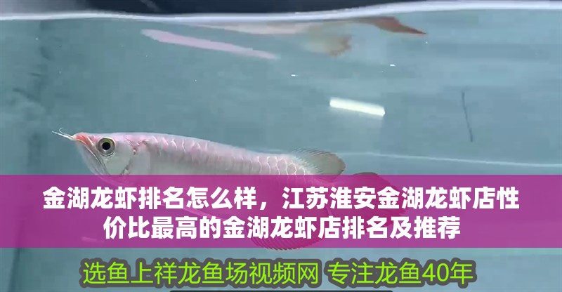 金湖龍蝦排名怎么樣，江蘇淮安金湖龍蝦店性價比最高的金湖龍蝦店排名及推薦