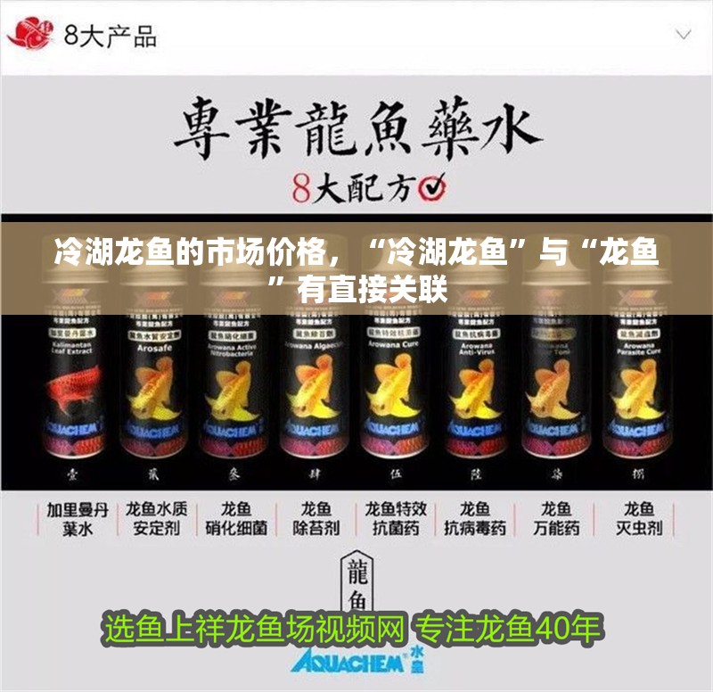 冷湖龍魚的市場(chǎng)價(jià)格，“冷湖龍魚”與“龍魚”有直接關(guān)聯(lián)
