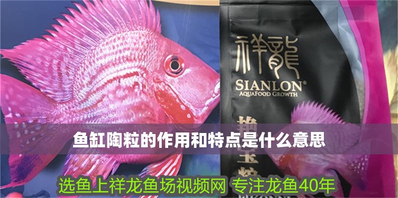 魚缸陶粒的作用和特點是什么意思