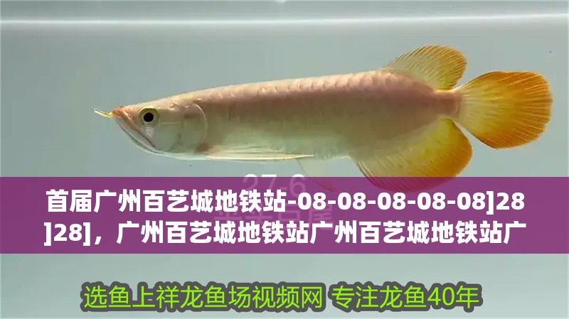 首屆廣州百藝城地鐵站-08-08-08-08-08]28]28]，廣州百藝城地鐵站廣州百藝城地鐵站廣州百藝城地鐵站