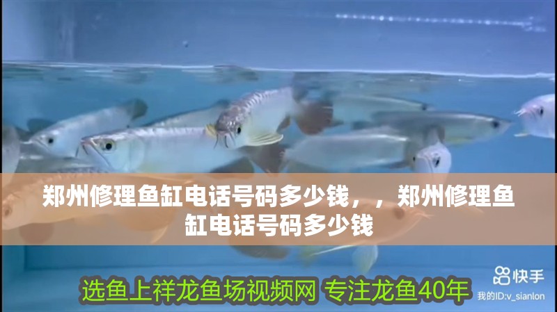 鄭州修理魚缸電話號碼多少錢，，鄭州修理魚缸電話號碼多少錢