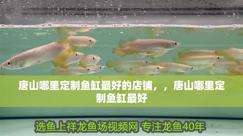 唐山哪里定制魚缸最好的店鋪，，唐山哪里定制魚缸最好